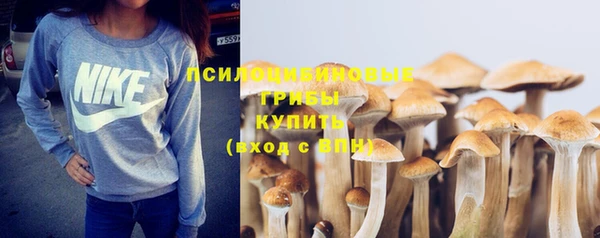 амф Зеленокумск