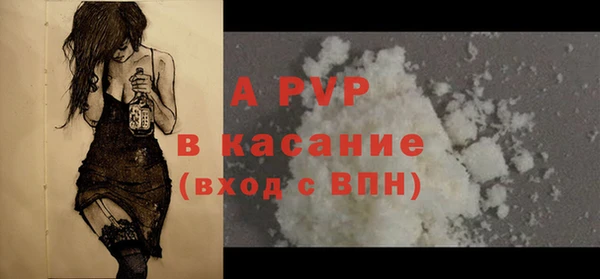 индика Зеленодольск