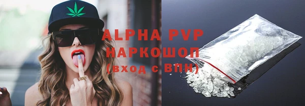 индика Зеленодольск