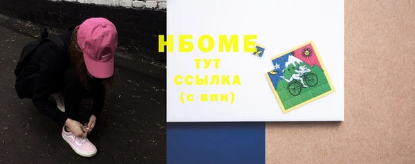 индика Зеленодольск