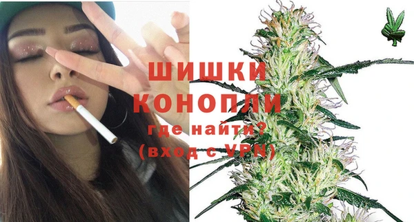 индика Зеленодольск