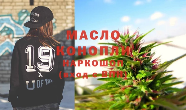 индика Зеленодольск