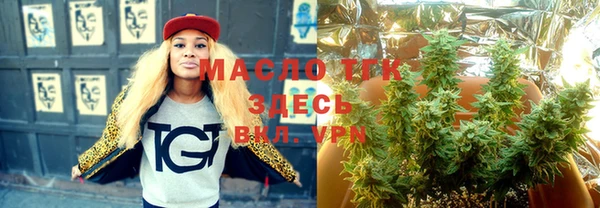 индика Зеленодольск
