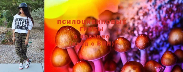 индика Зеленодольск