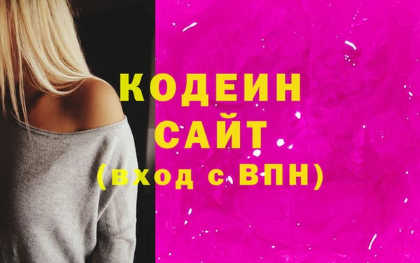 индика Зеленодольск