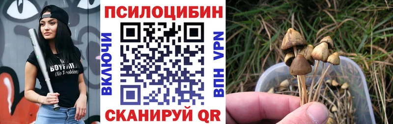 Псилоцибиновые грибы MAGIC MUSHROOMS  Новый Уренгой 